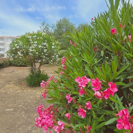 Praia Eulalia With Pool And 5 Minutes From The Beach Albufeira Eksteriør bilde