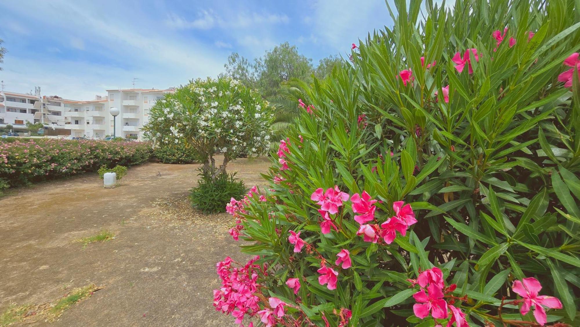 Praia Eulalia With Pool And 5 Minutes From The Beach Albufeira Eksteriør bilde
