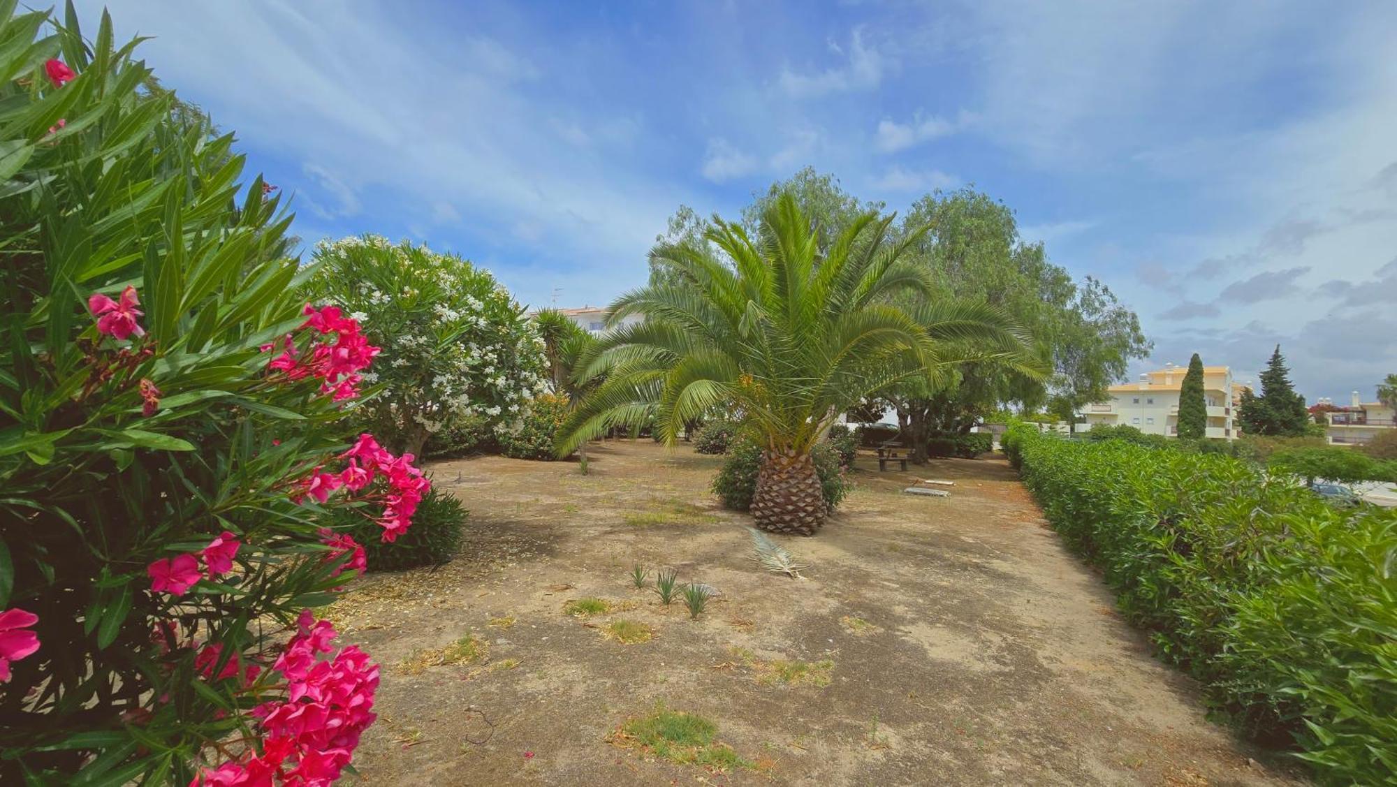 Praia Eulalia With Pool And 5 Minutes From The Beach Albufeira Eksteriør bilde